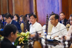 NEDA board OKs irrigation, bridge projects